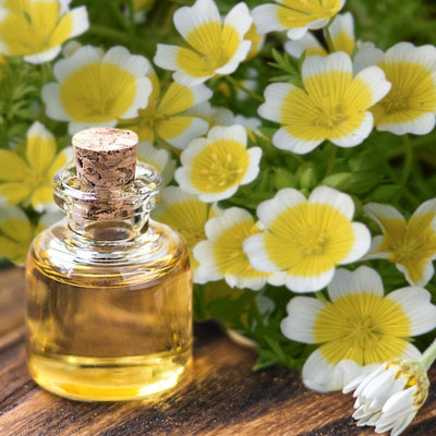 Meadowfoam Seed Oil For Your Hair and Skin